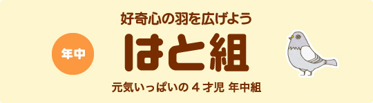 年中 はと組